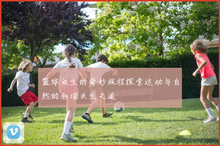 篮球放生的奇妙旅程探索运动与自然的和谐共生之道