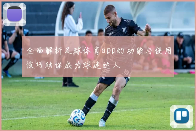全面解析足球体育app的功能与使用技巧助你成为球迷达人